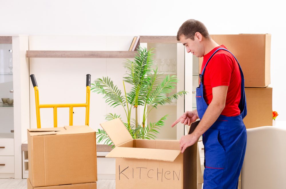 The Key Qualities to Look For in Packers and Movers